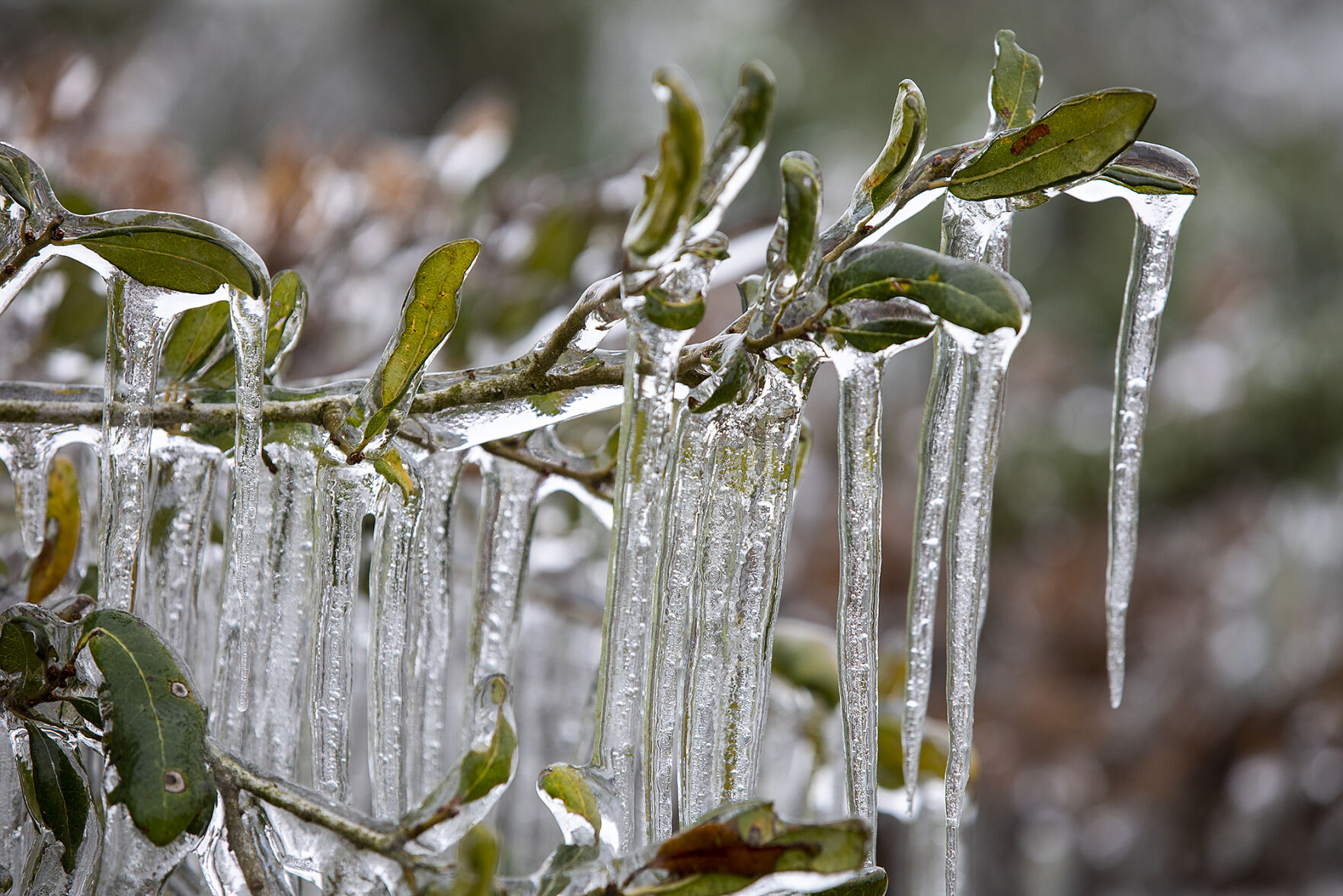 Winter weather